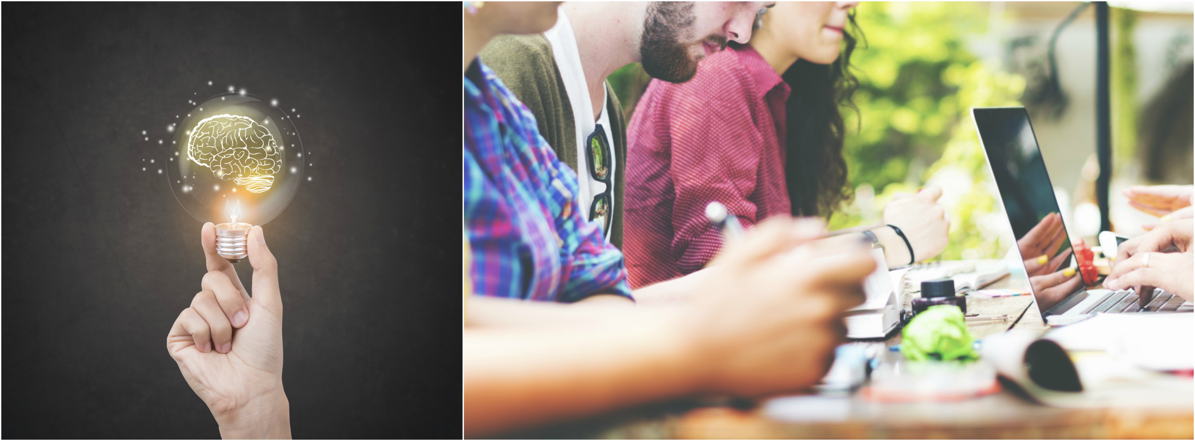 Collage of two images. To the left, a hand holding a light bulb with the filament in the shape of a brain. To the right, men and women studying together at a table. 